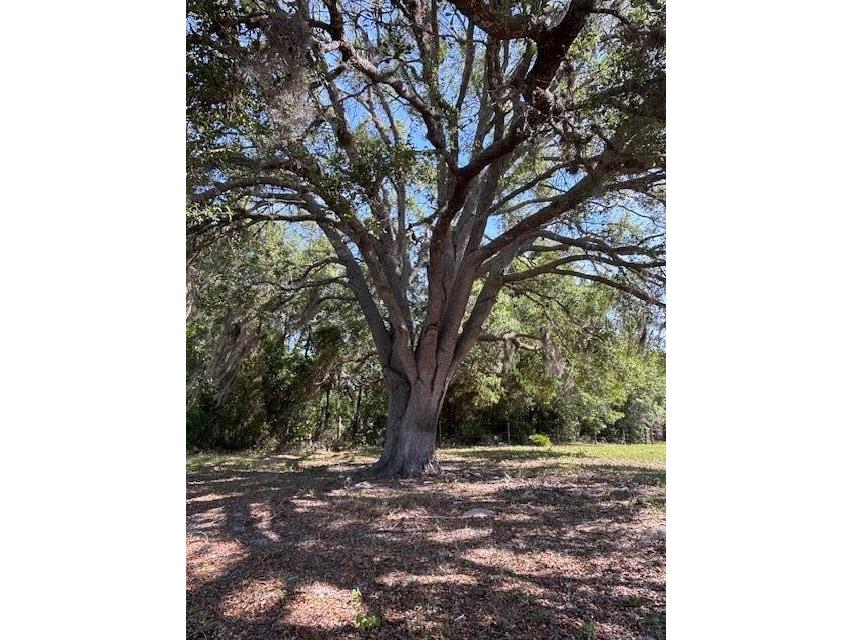 10250 NW 67th Place Chiefland FL 32626 GC539813 image39