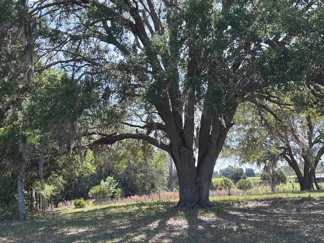 10250 NW 67th Place Chiefland FL 32626 GC539813 image40