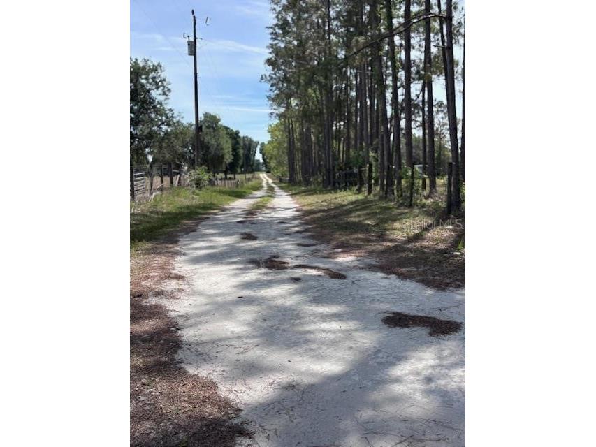 10250 NW 67th Place Chiefland FL 32626 GC539813 image54
