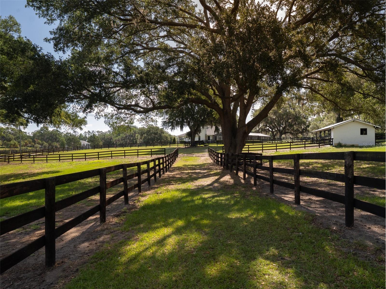 10250 NW 76th Terrace Ocala FL 34482 OM724022 image28