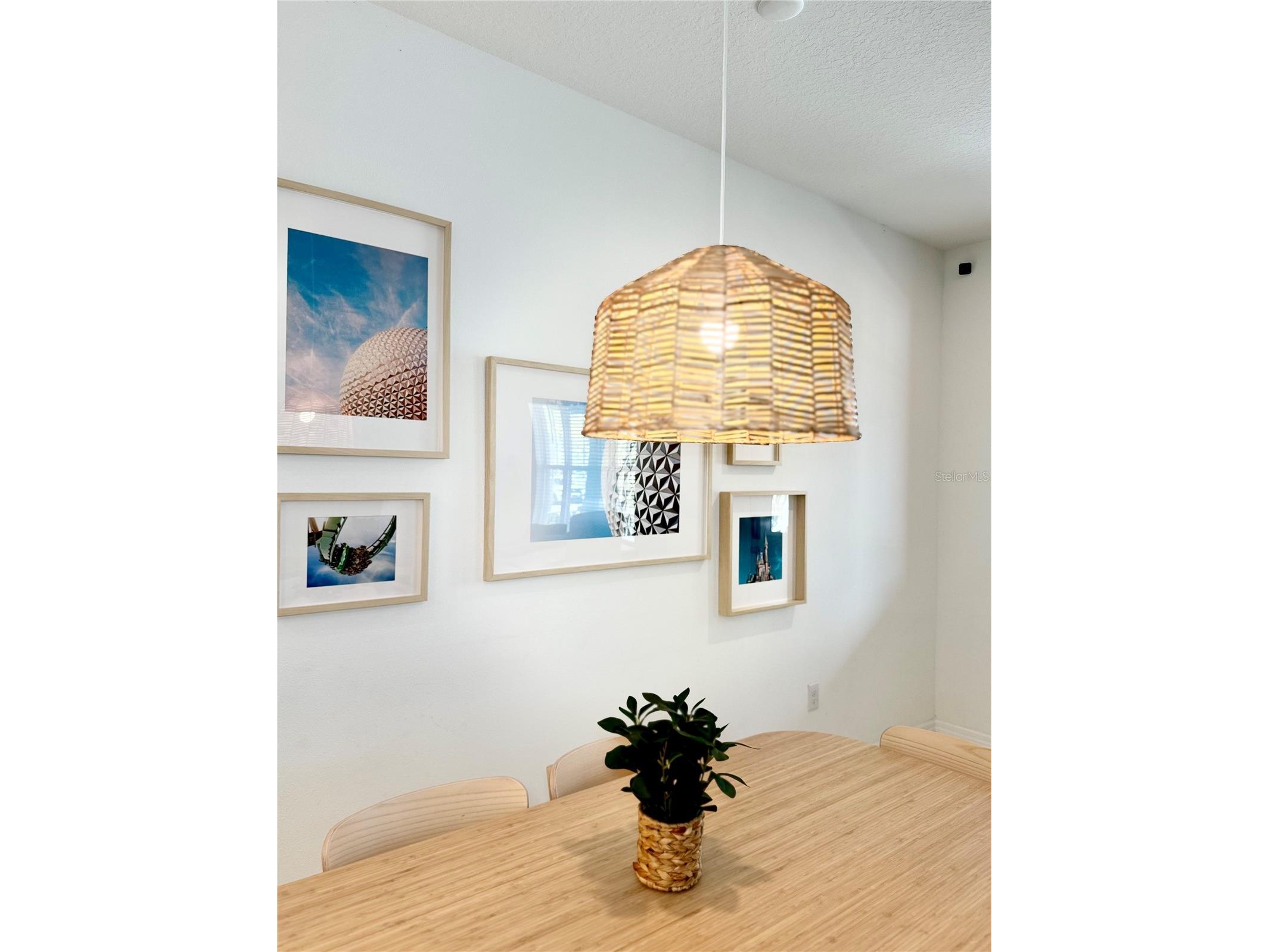 10251 Highline Crest Street Orlando FL 32832 O6414589 image10