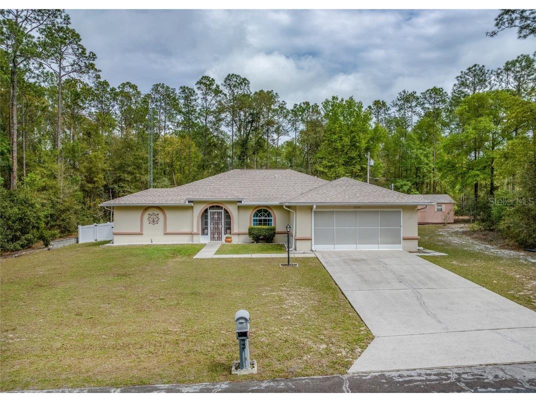 10251 N Biscayne Drive Citrus Springs FL 34434 OM655410 image1