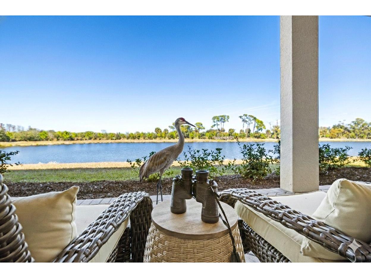 10253 Canaveral Circle Sarasota FL 34241 A4682019 image35