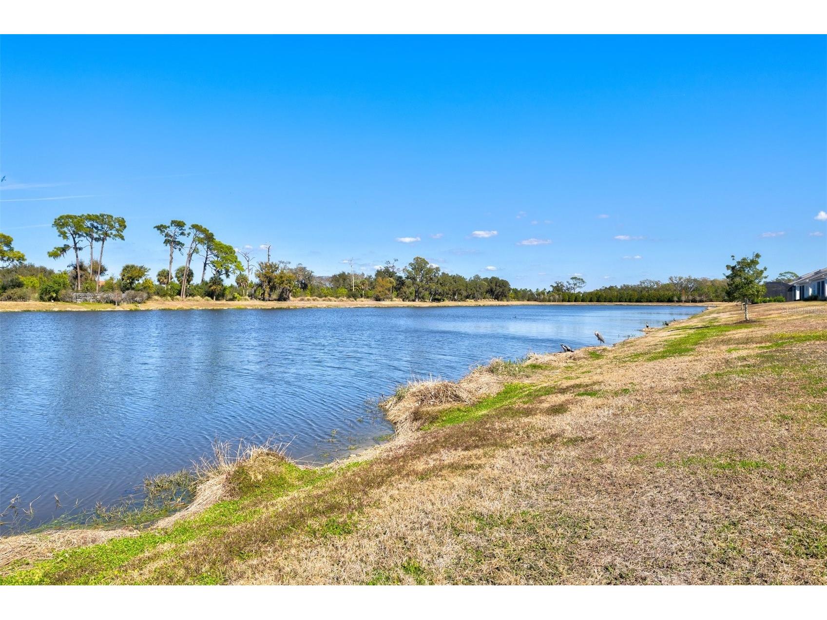 10253 Canaveral Circle Sarasota FL 34241 A4682019 image41