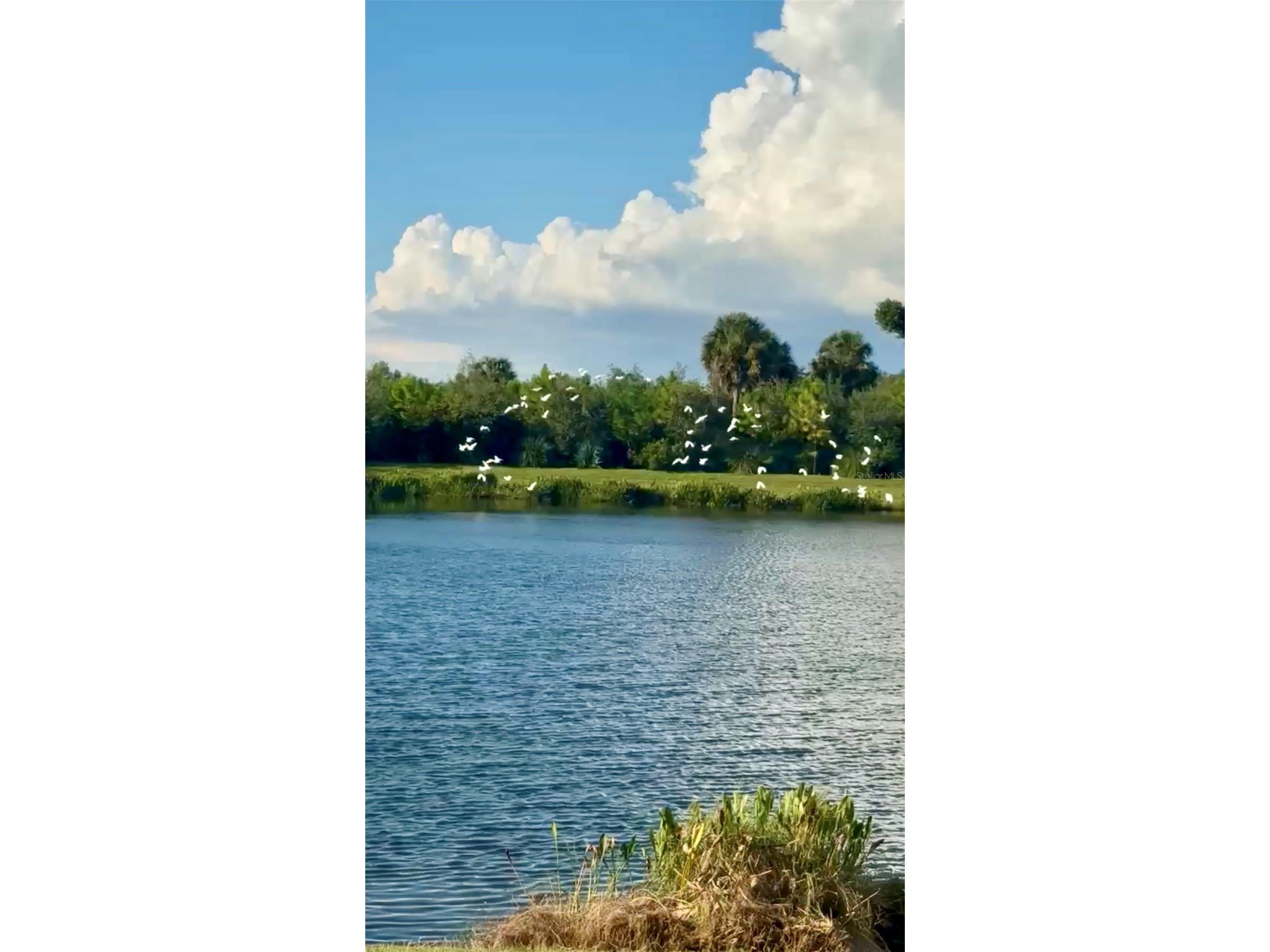 10253 Canaveral Circle Sarasota FL 34241 A4682019 image44