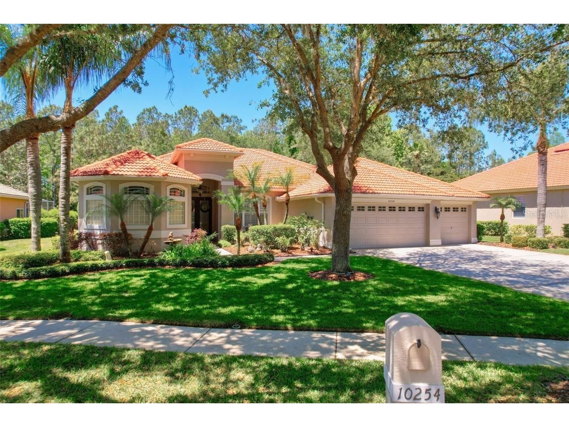 10254 Arbor Side Drive Tampa FL 33647 T3519888 image1