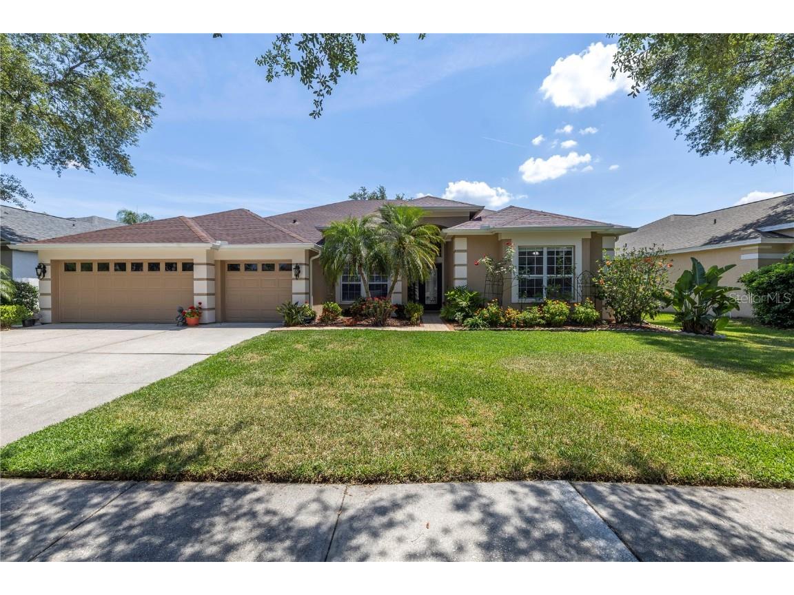 10254 Shadow Branch Drive Tampa FL 33647 U8240678 image1