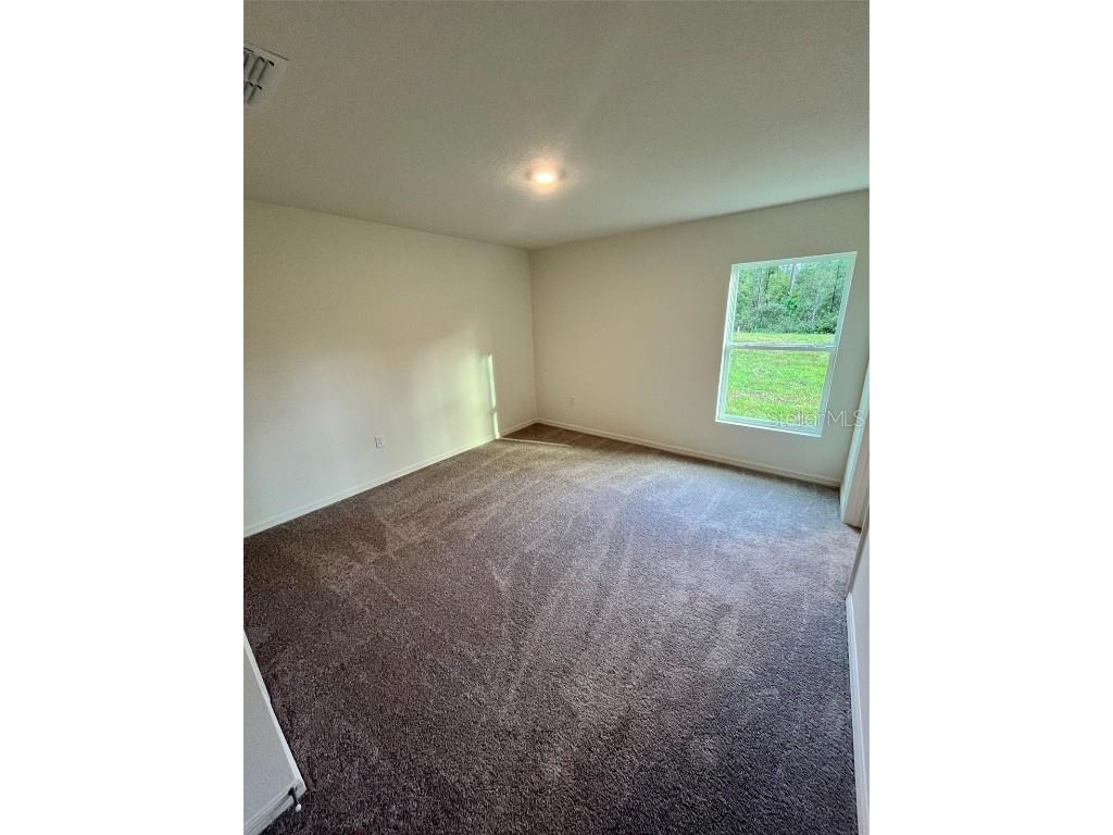 10255 Carpenter Avenue Hastings FL 32145 C7516237 image5