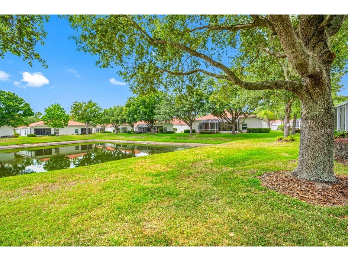10255 Devonshire Lake Drive Tampa FL 33647 TB8391895 image40