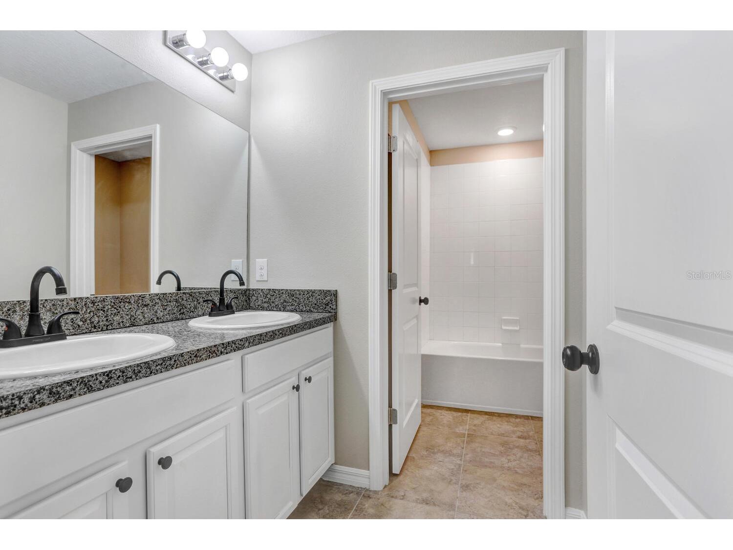 10256 Carloway Hills Drive Wimauma FL 33598 TB8479227 image21