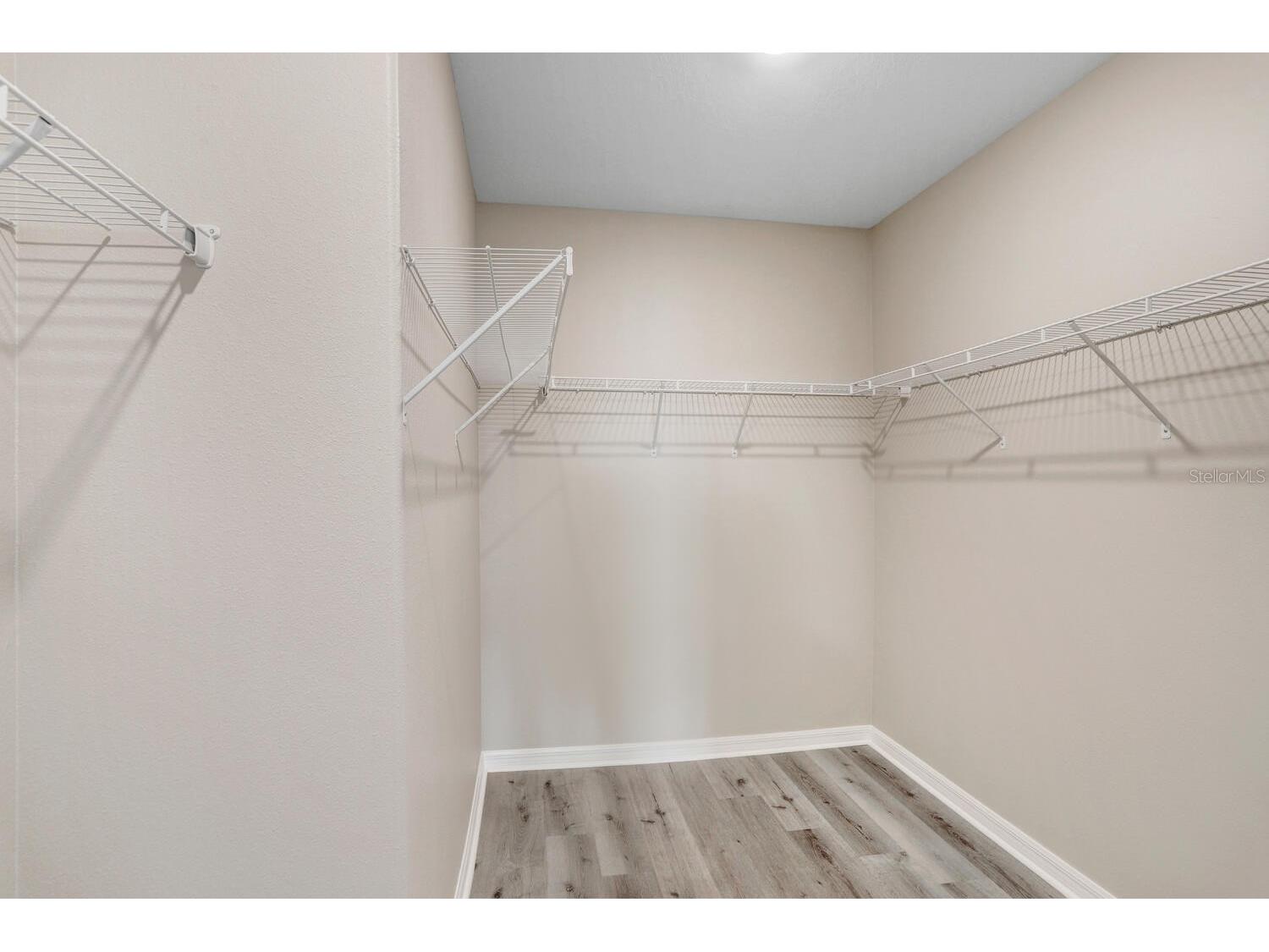 10256 Carloway Hills Drive Wimauma FL 33598 TB8479227 image28