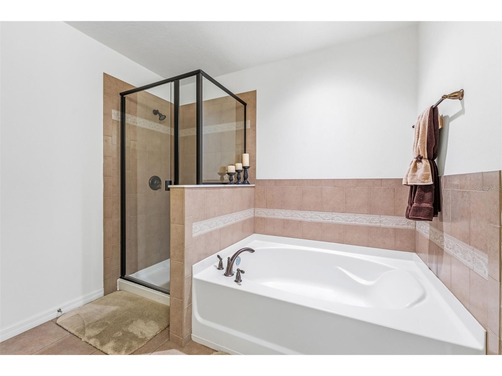 10257 Newminster Loop Ruskin FL 33573 TB8526432 image24