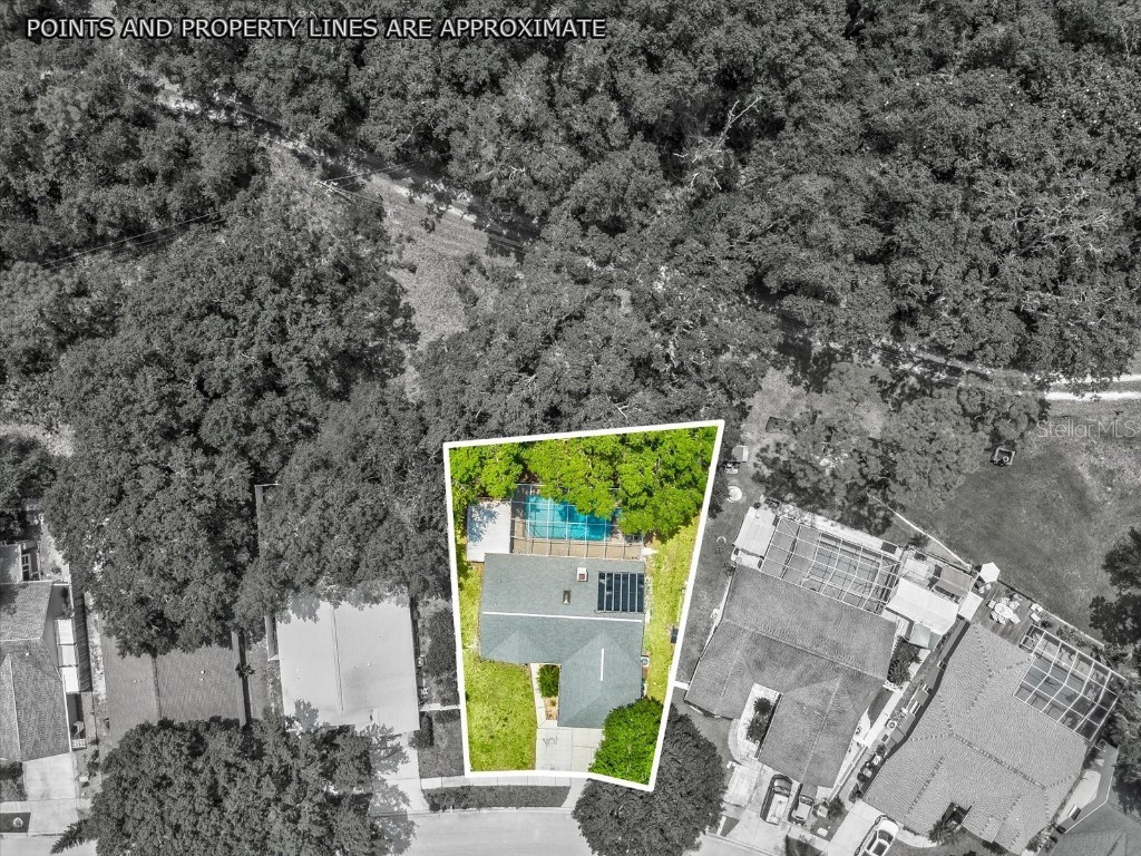 10258 Bellwood Avenue New Port Richey FL 34654 W7854352 image1