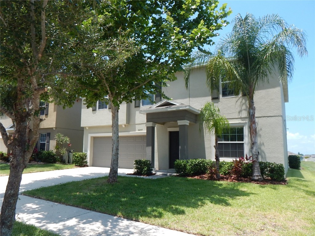 10259 Strawberry Tetra Drive Riverview FL 33578 T3453943 image1