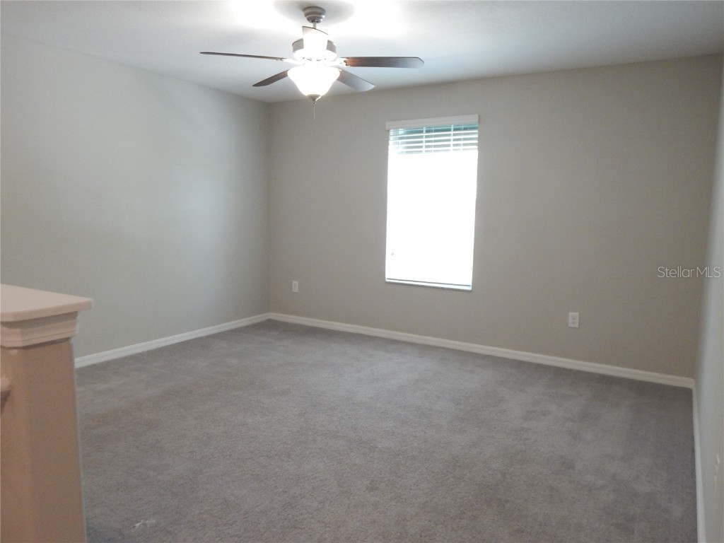 10259 Strawberry Tetra Drive Riverview FL 33578 TB8393014 image11