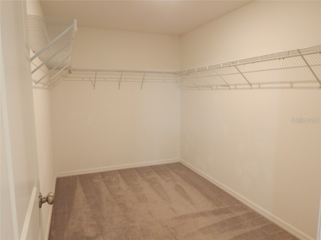 10259 Strawberry Tetra Drive Riverview FL 33578 TB8393014 image15