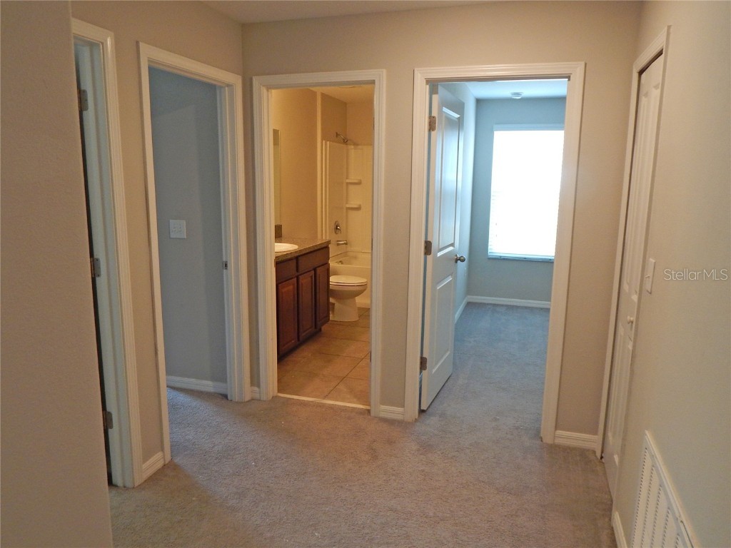 10259 Strawberry Tetra Drive Riverview FL 33578 TB8393014 image16