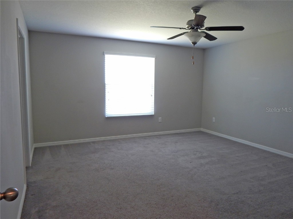 10259 Strawberry Tetra Drive Riverview FL 33578 TB8393014 image17