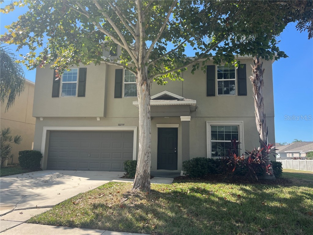 10259 Strawberry Tetra Drive Riverview FL 33578 TB8393014 image2