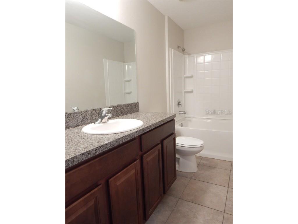 10259 Strawberry Tetra Drive Riverview FL 33578 TB8393014 image20