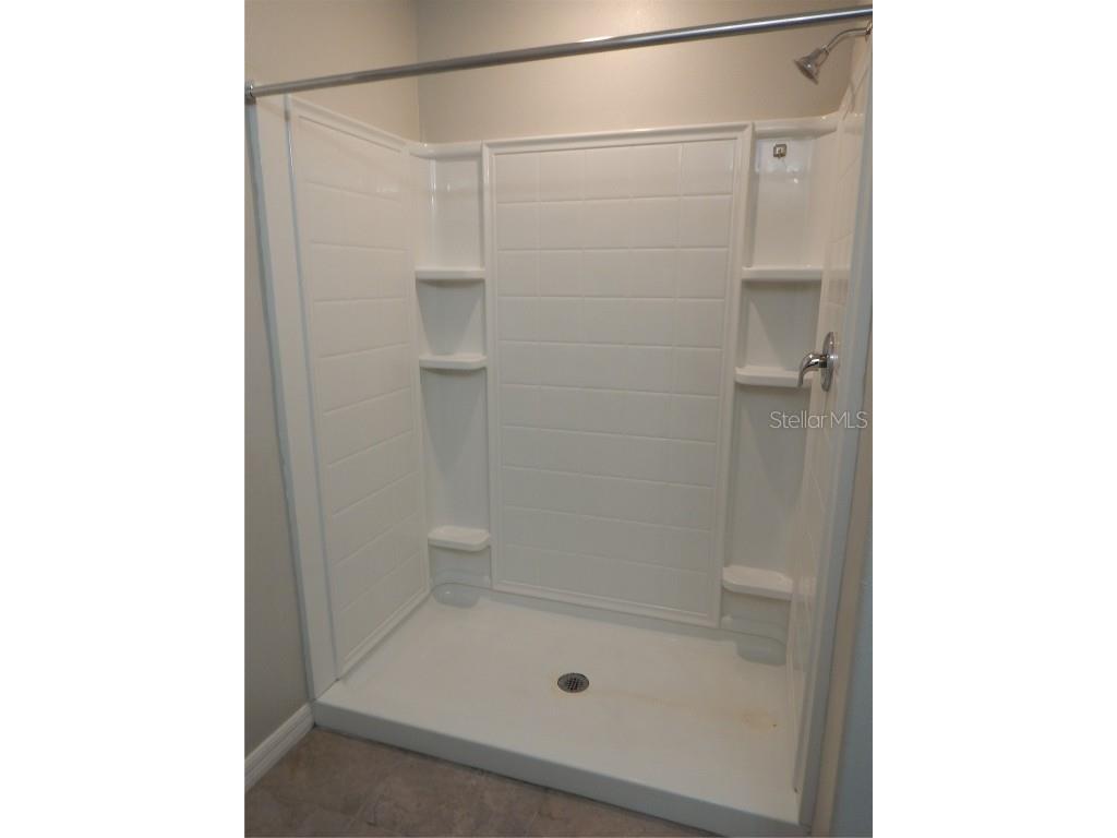 10259 Strawberry Tetra Drive Riverview FL 33578 TB8393014 image21