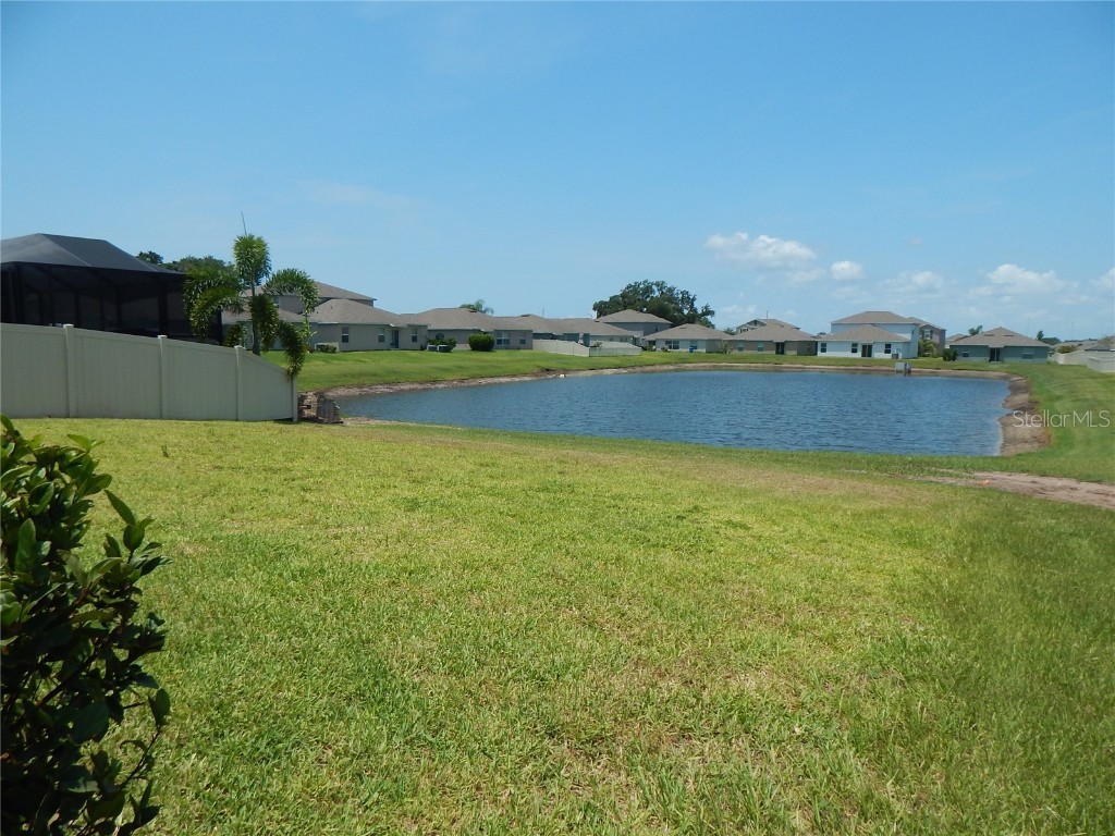 10259 Strawberry Tetra Drive Riverview FL 33578 TB8393014 image23
