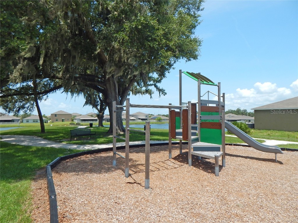 10259 Strawberry Tetra Drive Riverview FL 33578 TB8393014 image24