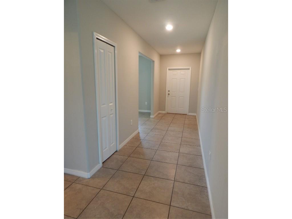 10259 Strawberry Tetra Drive Riverview FL 33578 TB8393014 image3