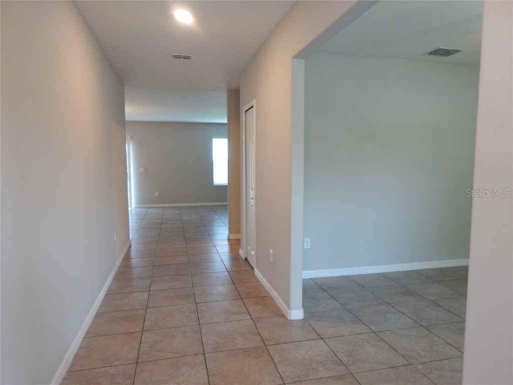 10259 Strawberry Tetra Drive Riverview FL 33578 TB8393014 image4