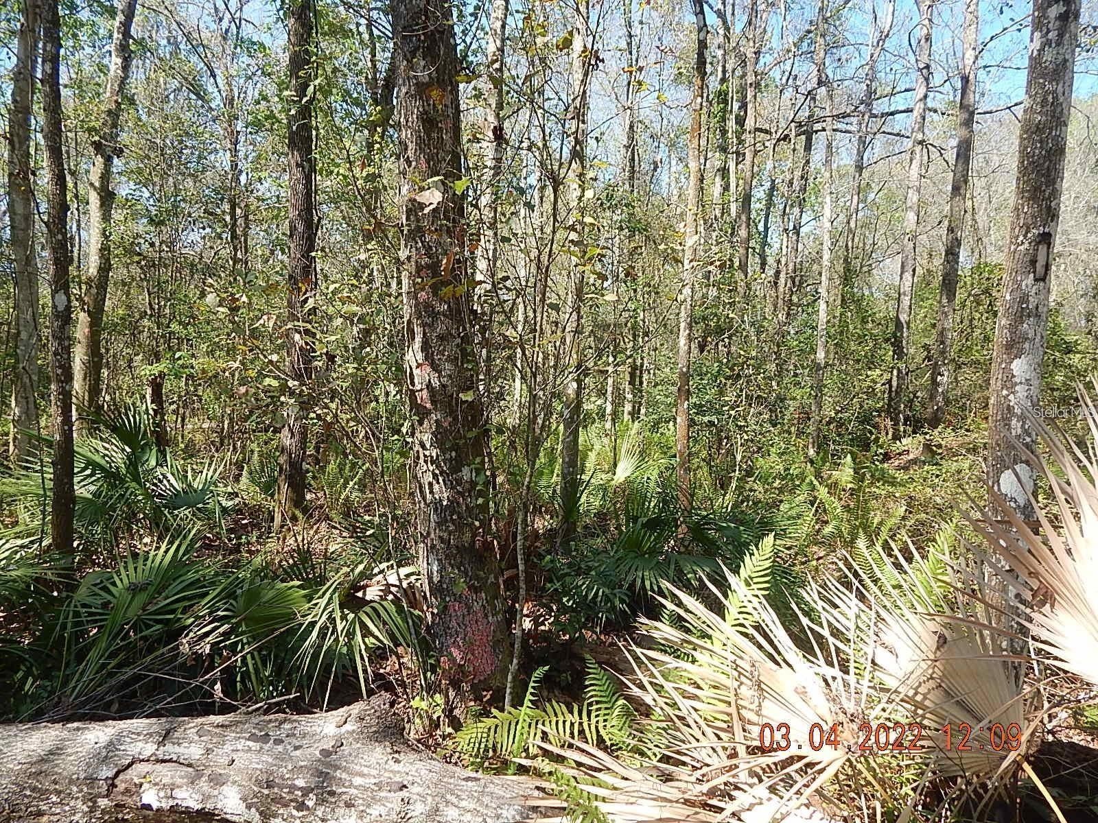 1026 Buist Street Orlando FL 32828 O6382682 image10