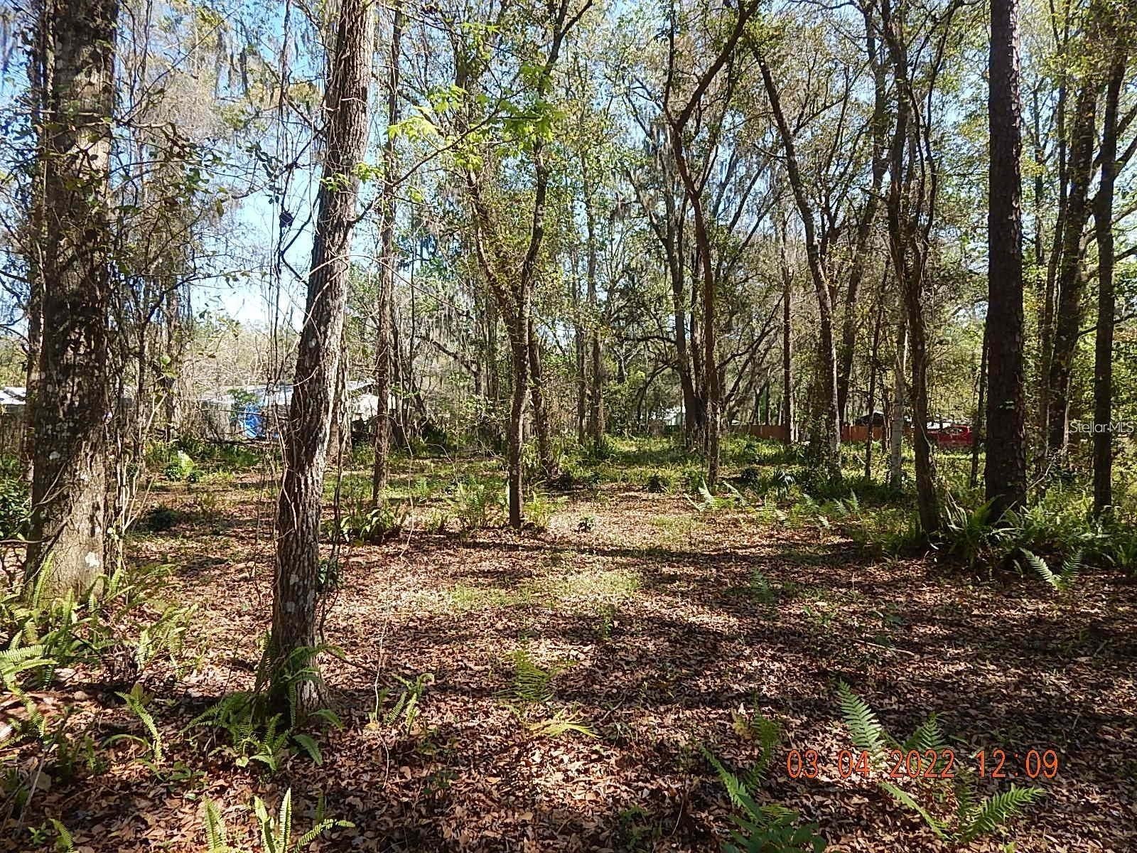 1026 Buist Street Orlando FL 32828 O6382682 image12