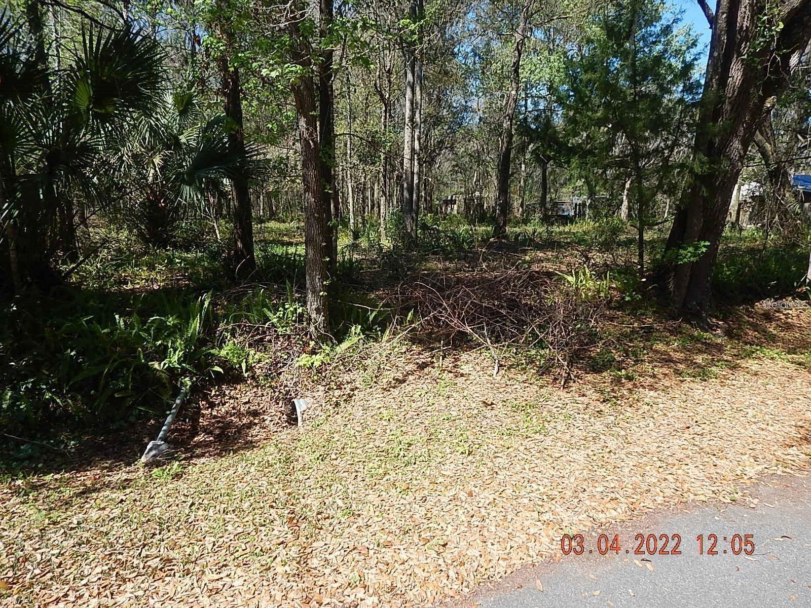 1026 Buist Street Orlando FL 32828 O6382682 image2