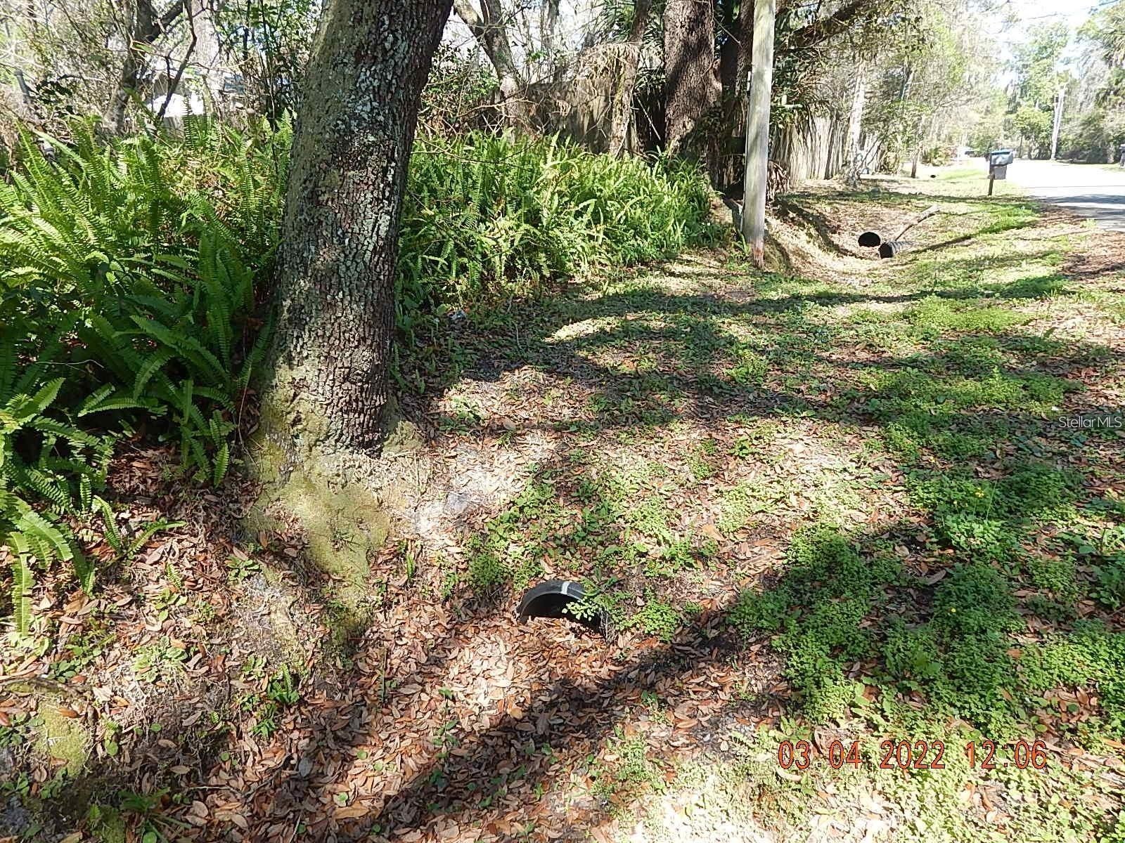 1026 Buist Street Orlando FL 32828 O6382682 image5