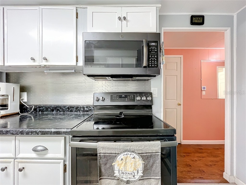 1026 Capella Drive Tavares FL 32778 - Lake Frances G5091584 image10