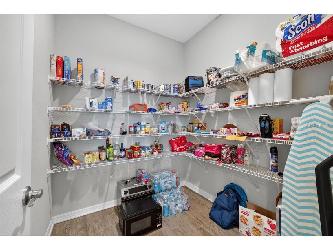 1026 Montgomery Lane Polk City FL 33868 P4936511 image8