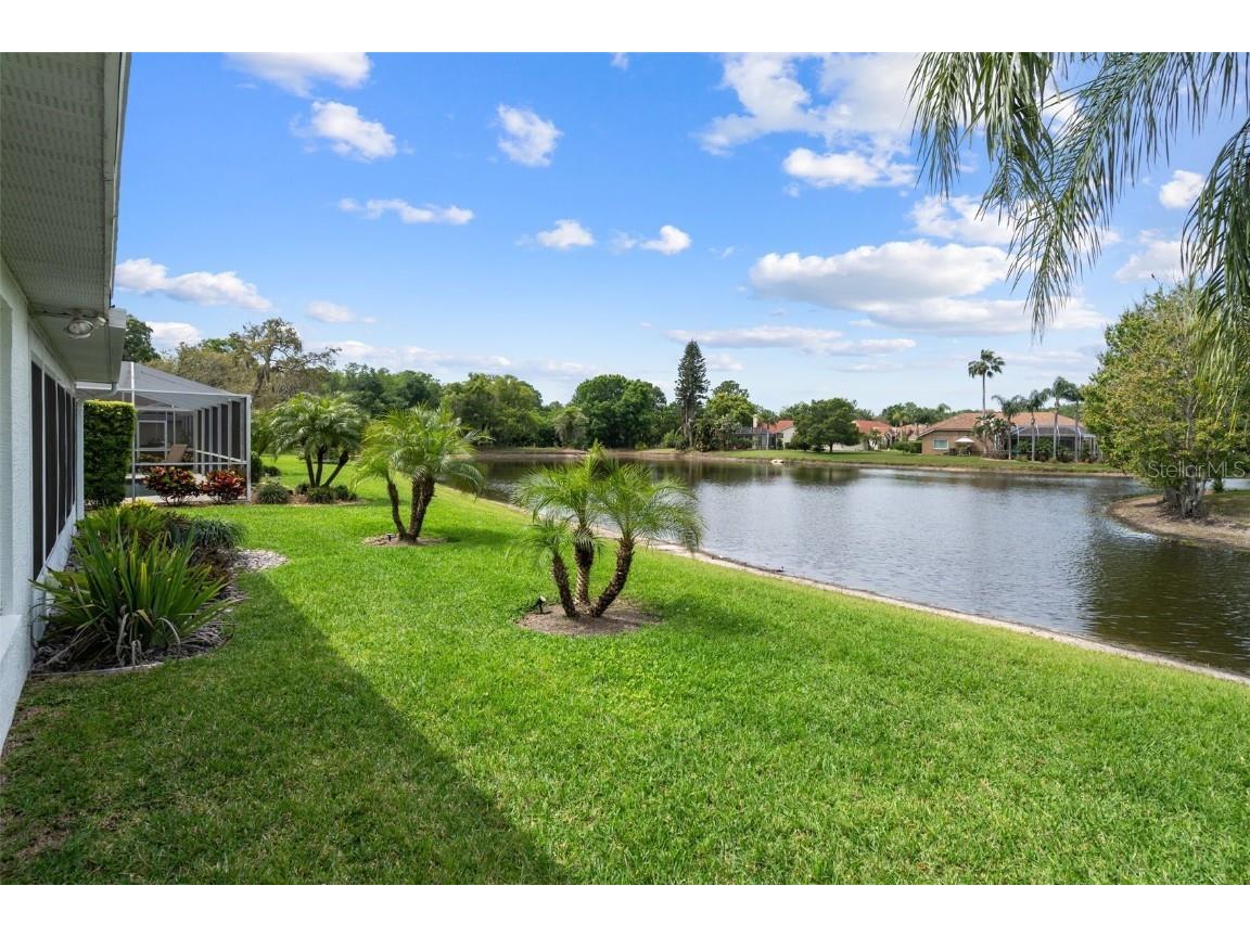 1026 Trafalgar Drive New Port Richey FL 34655 U8237160 image1