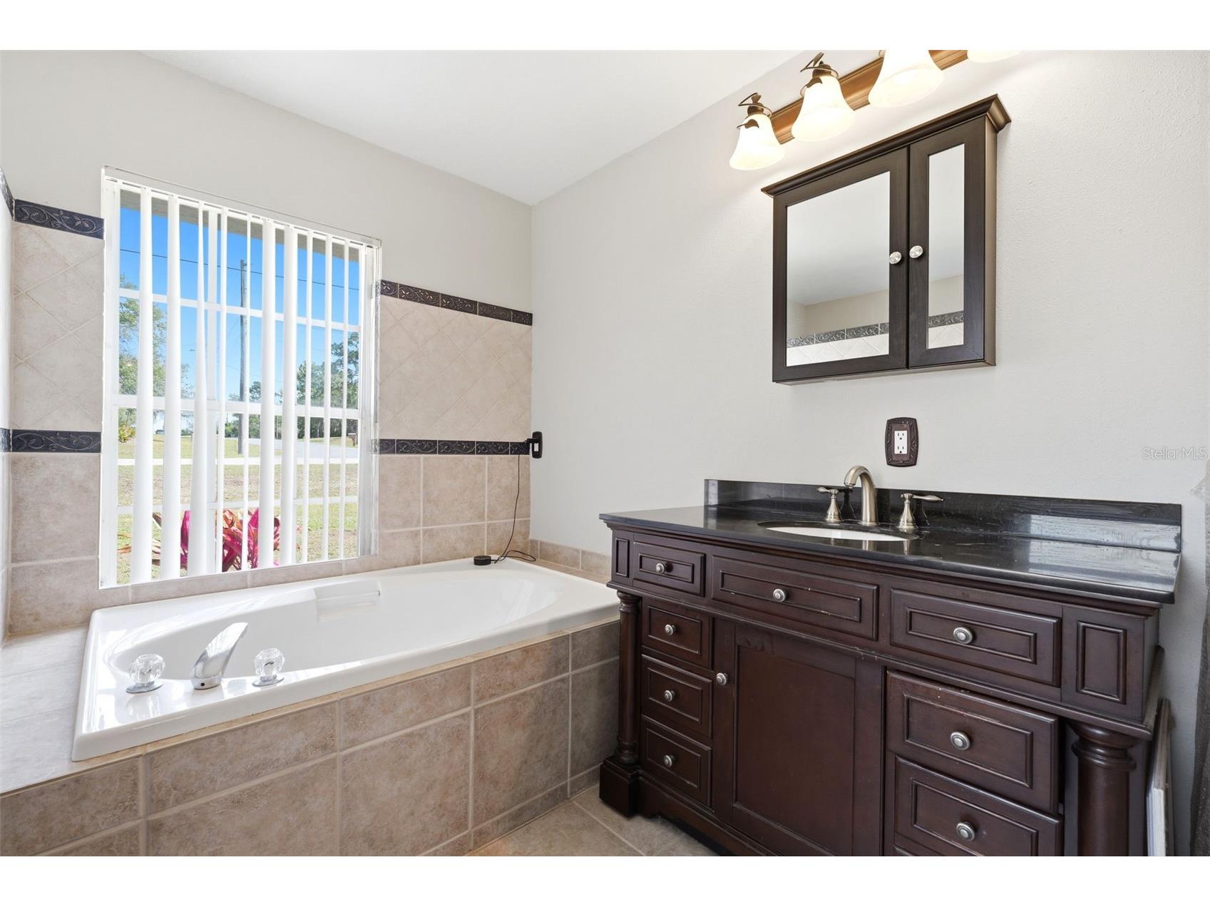 10260 Caracara Avenue Weeki Wachee FL 34613 W7885899 image17