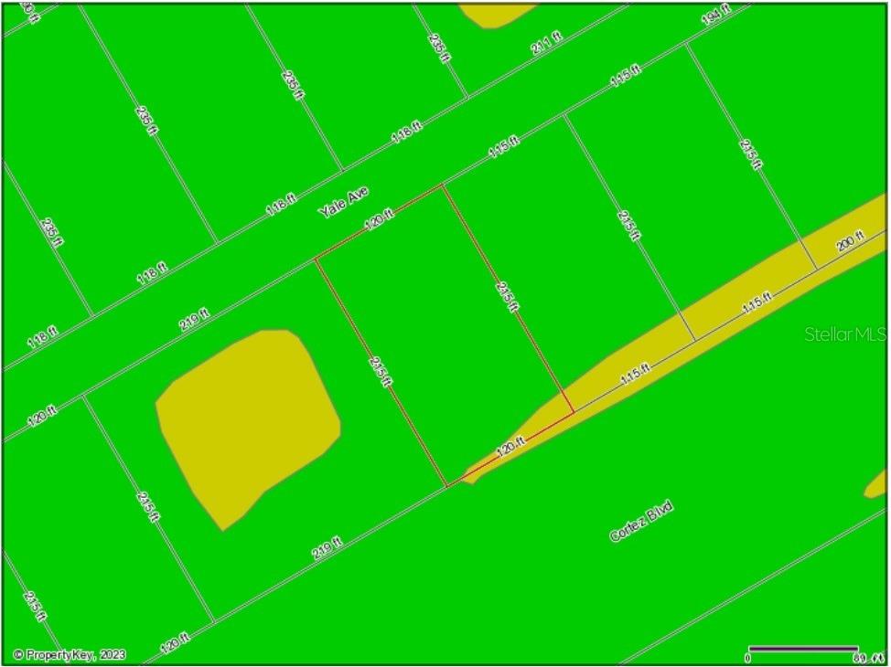 10260 Yale Avenue Weeki Wachee FL 34613 W7851583 image8