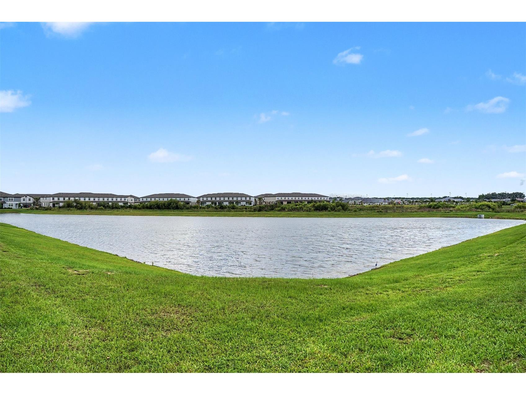 10261 Honey Hammock Way San Antonio FL 33576 TB8513701 image2