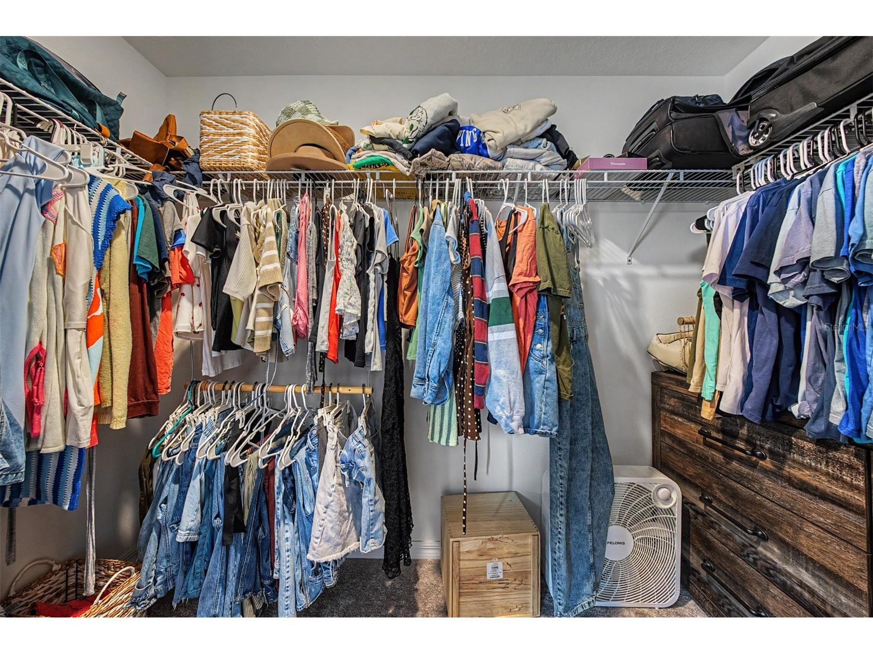 10261 Honey Hammock Way San Antonio FL 33576 TB8513701 image39