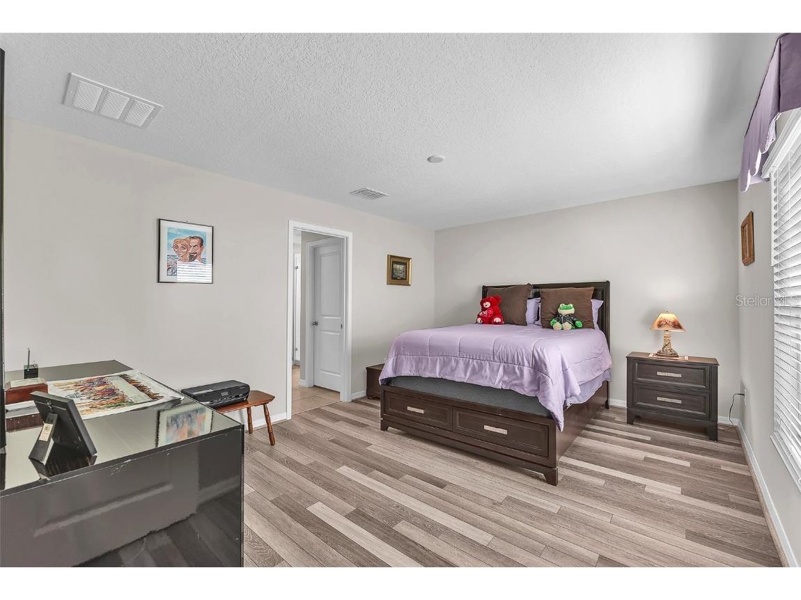 10262 Carloway Hills Drive Wimauma FL 33598 TB8439954 image11