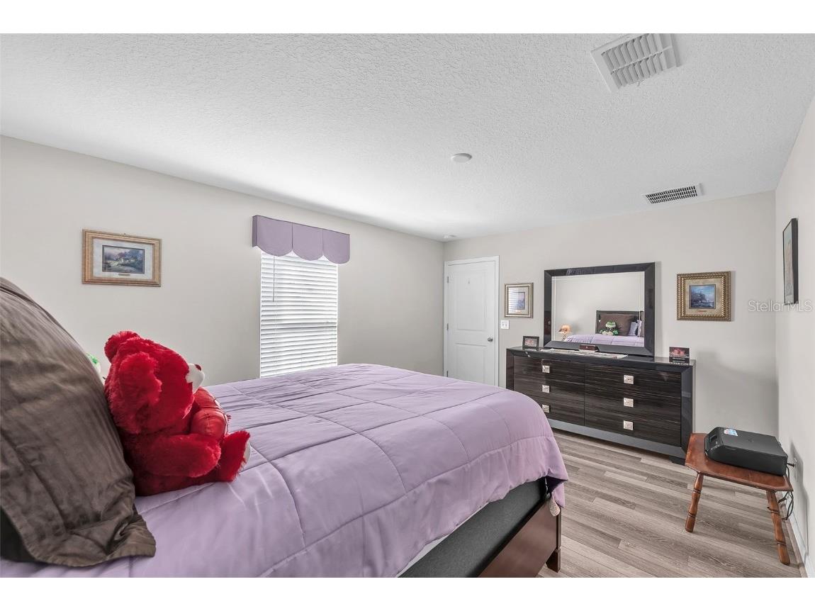 10262 Carloway Hills Drive Wimauma FL 33598 TB8439954 image12