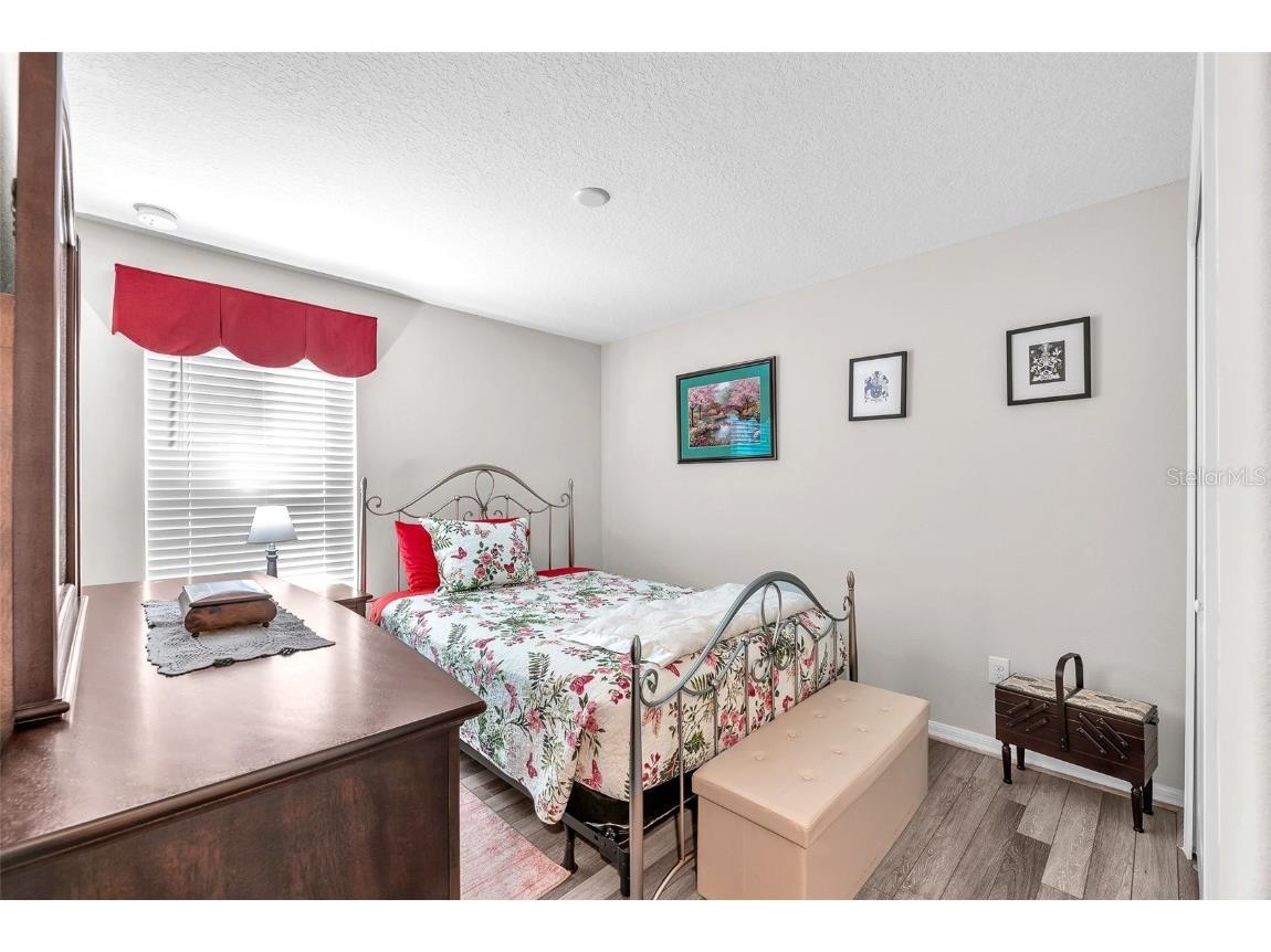 10262 Carloway Hills Drive Wimauma FL 33598 TB8439954 image14