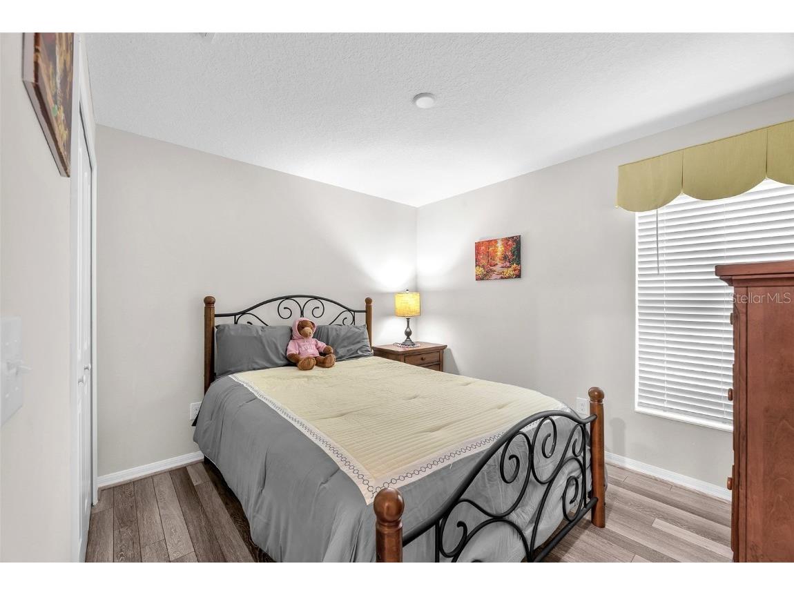 10262 Carloway Hills Drive Wimauma FL 33598 TB8439954 image15