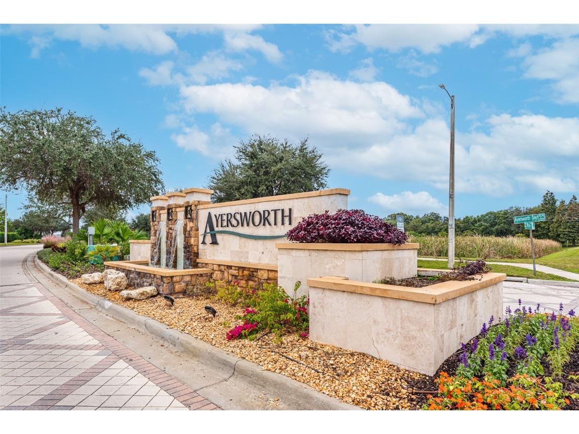 10262 Carloway Hills Drive Wimauma FL 33598 TB8439954 image26