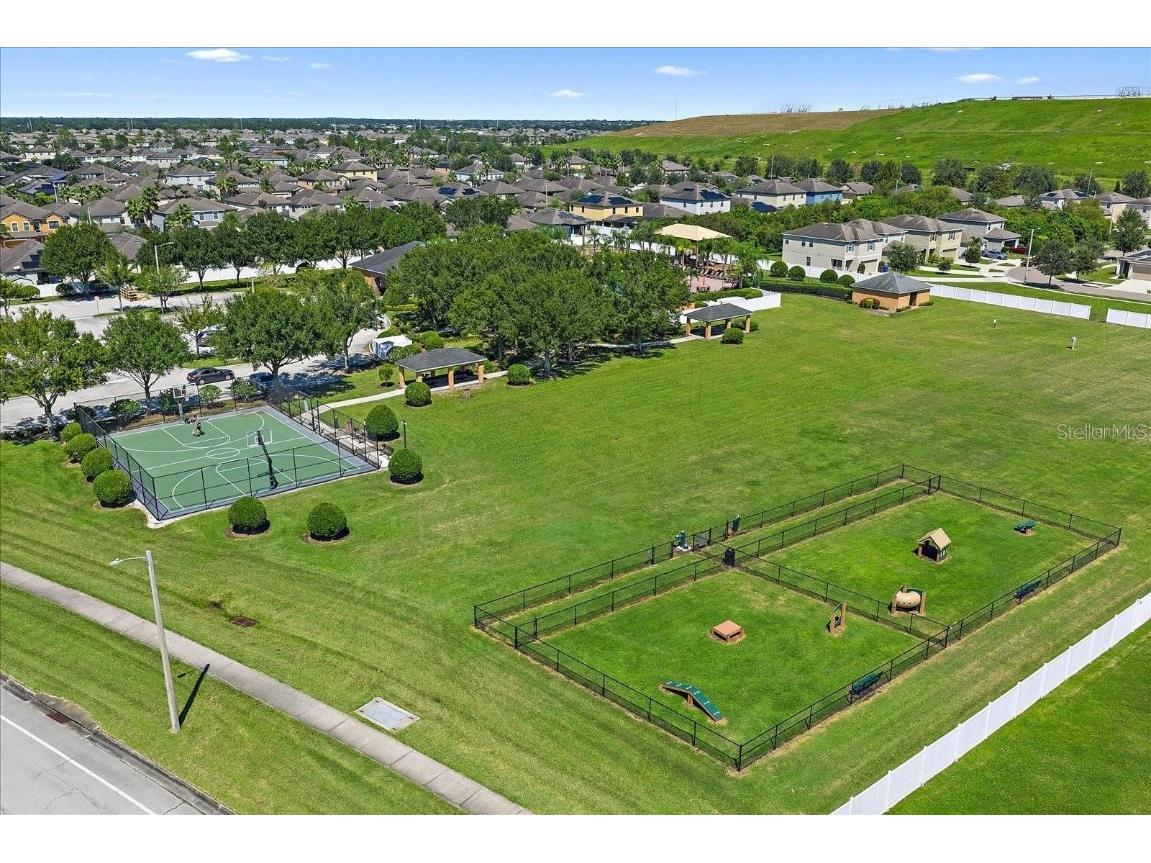 10262 Carloway Hills Drive Wimauma FL 33598 TB8439954 image28