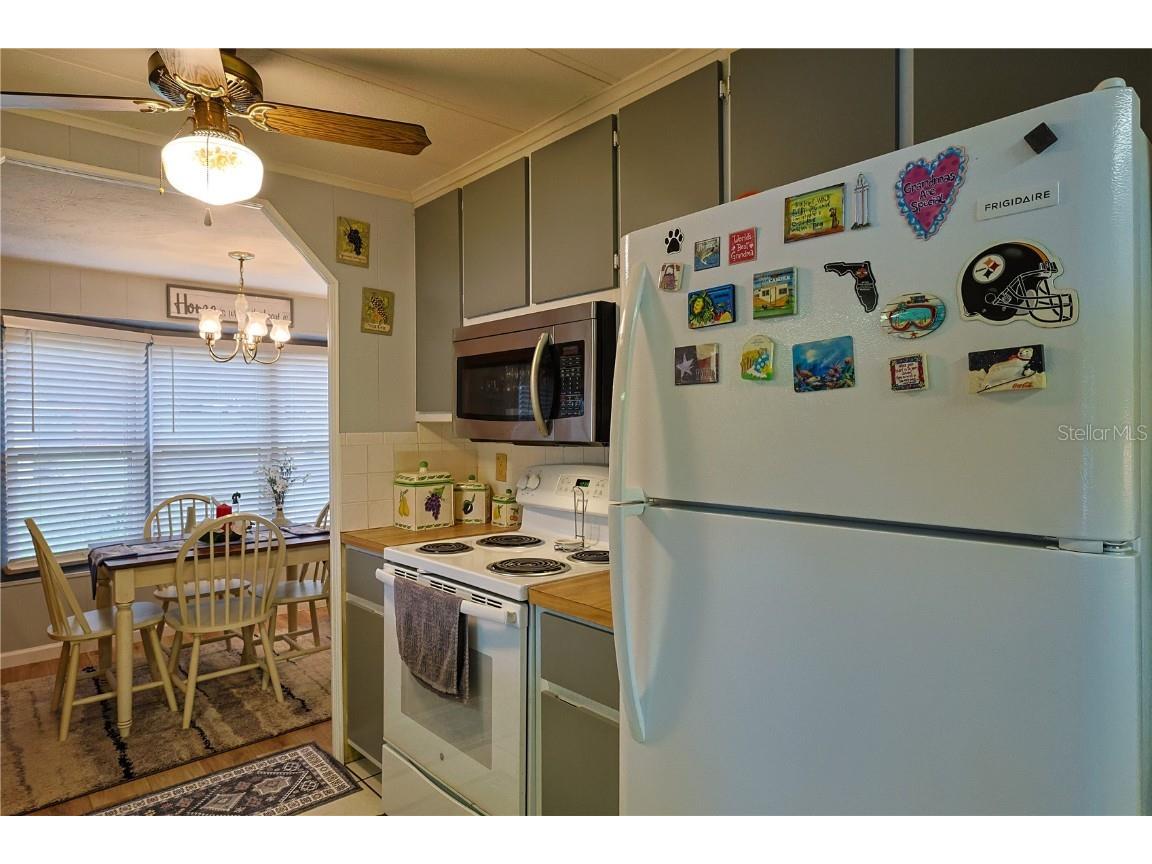 10262 E Pike Drive Inverness FL 34450 G5103423 image16