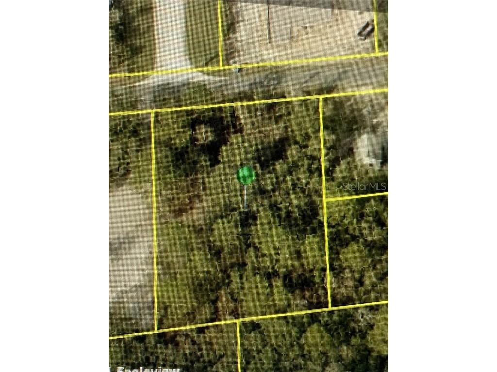 10262 Maybird Ave Weeki Wachee FL 34613 T3381834 image1