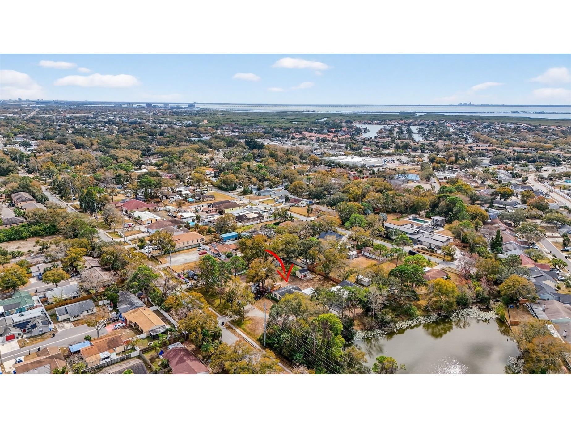 10262 Memorial Highway Tampa FL 33615 TB8484255 image45