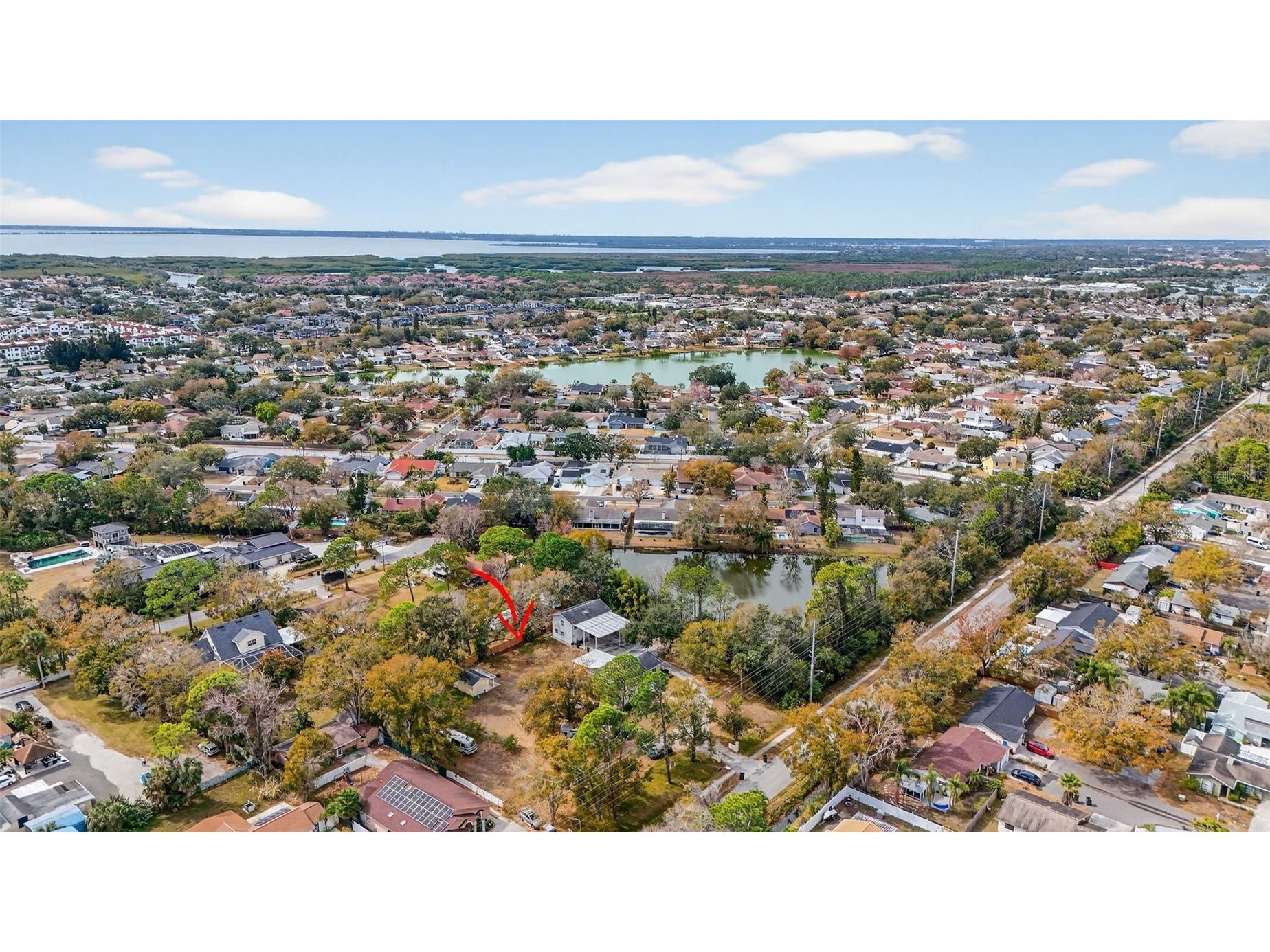 10262 Memorial Highway Tampa FL 33615 TB8484255 image48